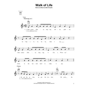 Walk Of Life
